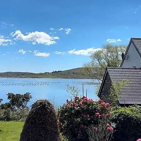 Berehaven